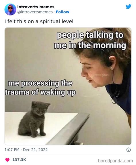 75 Funny Introvert Memes That Are Even More Hilarious in 2020