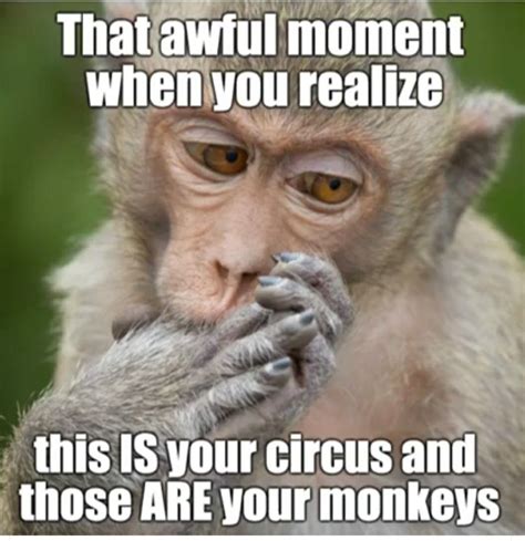 Discover the Funniest Monkey Pics That Will Make Your Day!