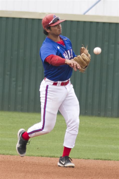 hill college baseball stats