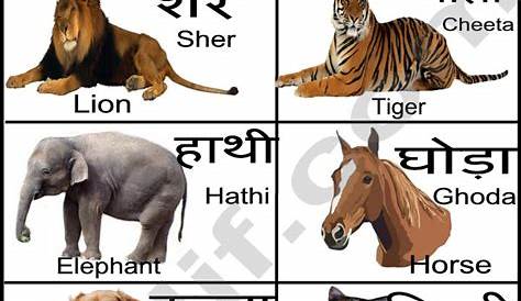 Discover The Hidden Truths: Exploring The Interplay Of Gender And Animals In Hindi