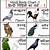 hindi birds name chart