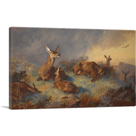 Hinds Canvas Prints Artwork