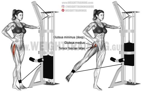 Hip Abductors Cable Machine