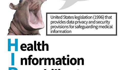 Hipaa Hippo Image potamus Wallpapers s Photos Pictures Backgrounds