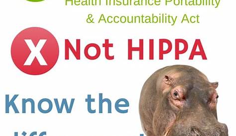 Hipaa Not Hippo Its HIPAA, HIPPA....