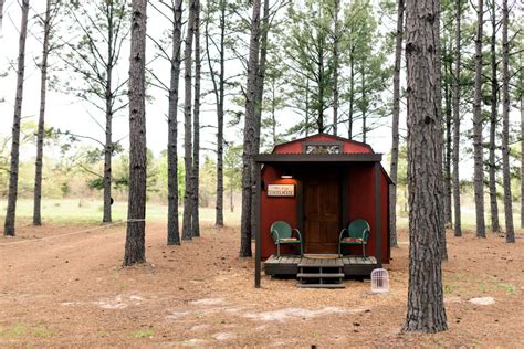 Mohican Lake Fork Hipcamp in Quitman, Texas