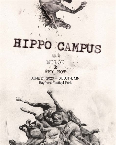 hippo campus first ave