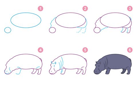 How To Draw A Hippo Easy Step By Step