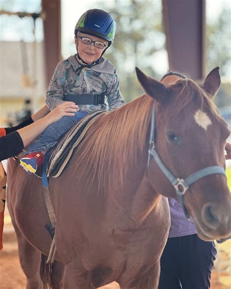 Hippotherapy Denver
