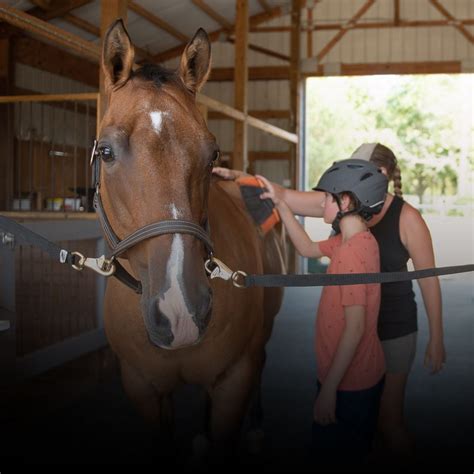 Hippotherapy Occupational Therapy