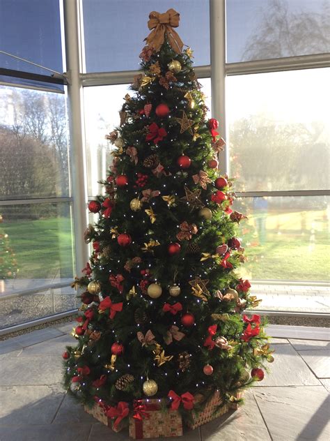 Hire A Christmas Tree Devon