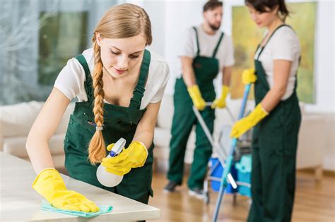 Download Cleaner Housekeeping Service House Maid Cleaning Clean Clipart