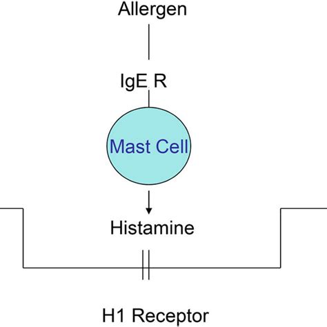 Histamine Release Pruritus