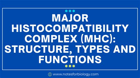 Histocompatibility Complex Uses