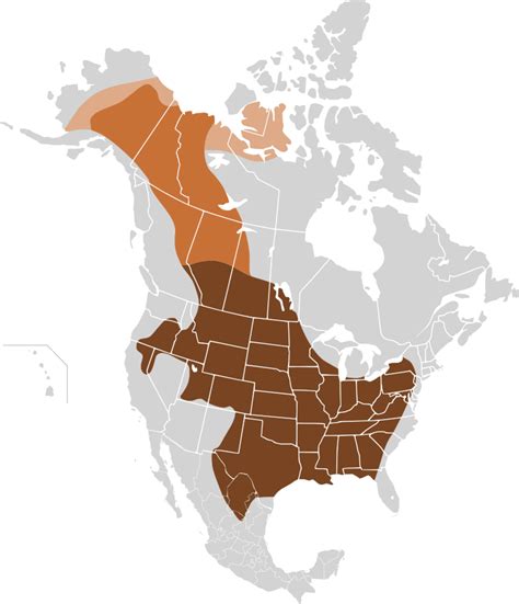 historic range of bison