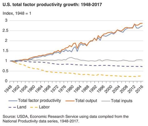 Historical Perspectives and Evolution of Productivity Economics
