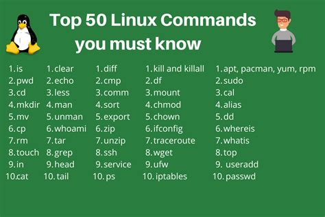 History Doesn't Show All Commands