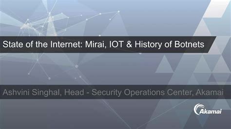 history of Botnets