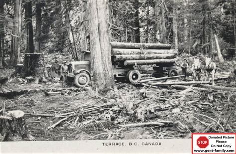 History Of Logging In Bc