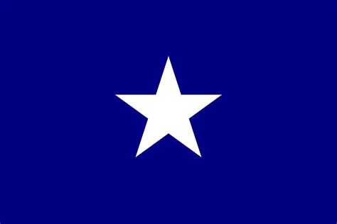 history of the bonnie blue flag
