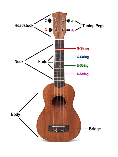 history of the ukulele facts