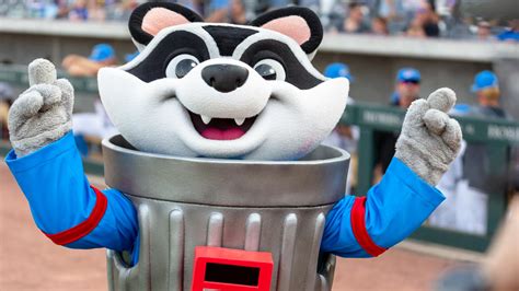 History Of Trash Pandas