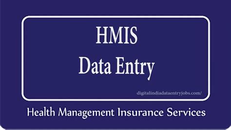 hmis monthly data entry