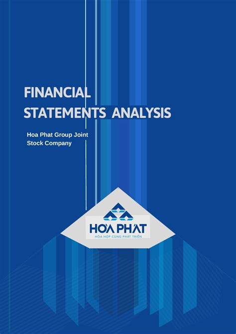 hoa phat financial analysis
