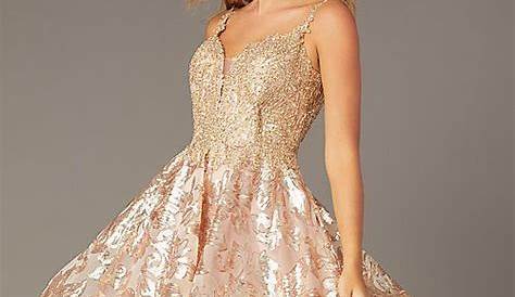 Hoco Dress Brands Short Tulle Embroidered FitandFlare Mini Skirt