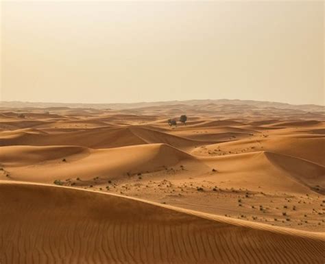 hoe groot is de sahara