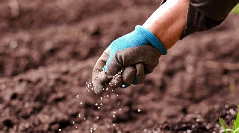 Hoe Meststoffen Strooien