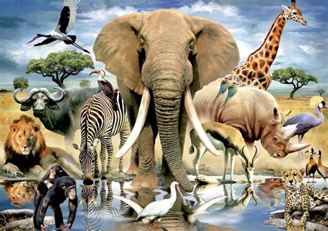 hoeveel soorten dieren zijn er in afrika