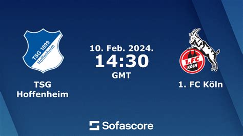 hoffenheim vs cologne h2h