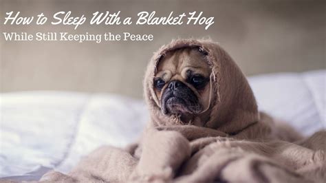 Hog The Blanket