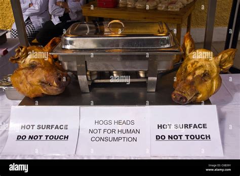 Hogs Head Abergavenny Menu