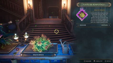 Ou trouver de la mauve douce pour les epreuve de merlin Hogwarts Legacy YouTube