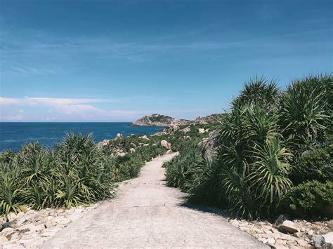 hoi an to quy nhon