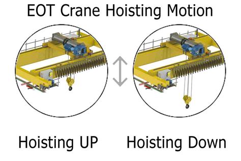 Hoist Vs Eot Crane