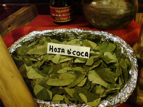 Hoja De Coca Thee