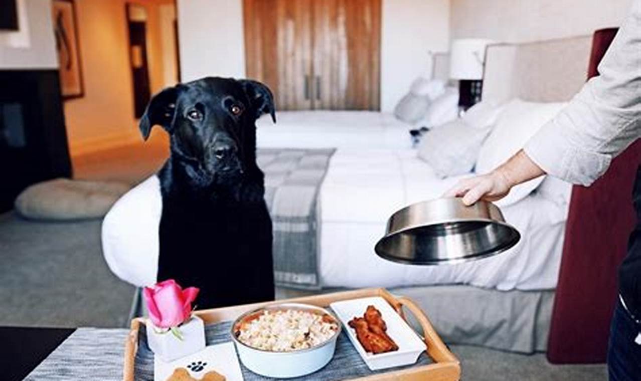 Discover the Ultimate Guide to Pet-Friendly Holiday Inn Hotels in NYC: Unlock Exclusive Perks and Insider Tips