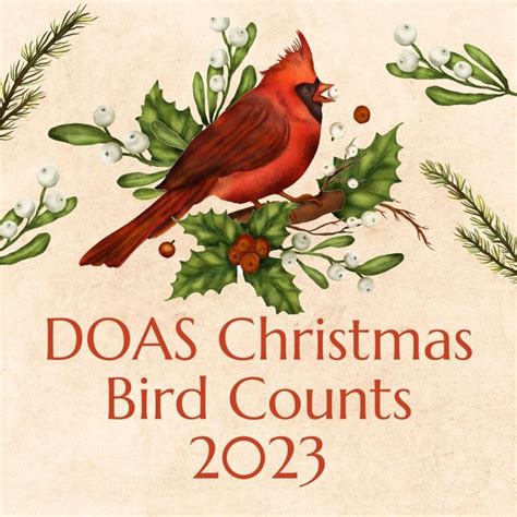 holiday bird count 2023