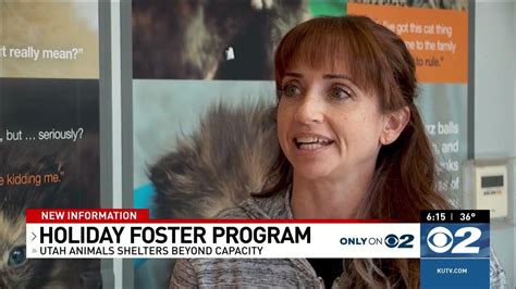 Holiday Foster Program