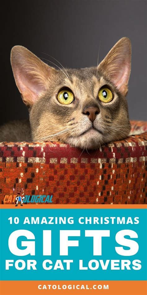 holiday gifts for cat lovers