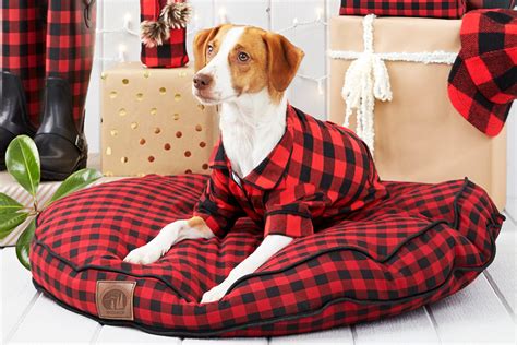 holiday gifts for pet lovers