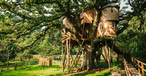 Holiday In A Treehouse