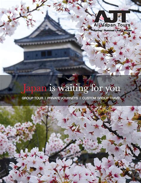 holiday packages japan 2024