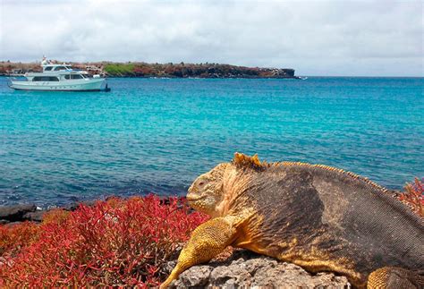 holidays in the galapagos islands