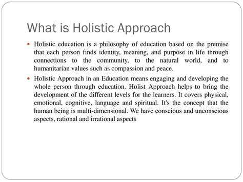 holistic approach meaning in english