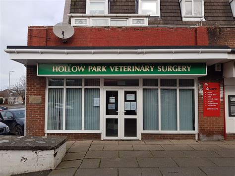 hollow park veterinary surgery