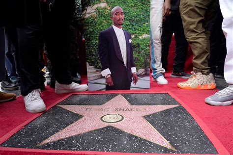 hollywood star